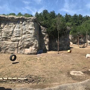 Bear Country- New Alaskan brown bear exhibit (formerly polar shores)