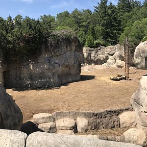 Bear Country- New Alaskan brown bear exhibit (formerly polar shores)