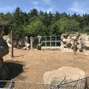 Bear Country- New Alaskan brown bear exhibit (formerly polar shores)
