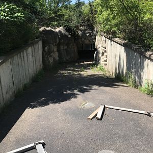 Bear Country- below- ground viewing tunnel