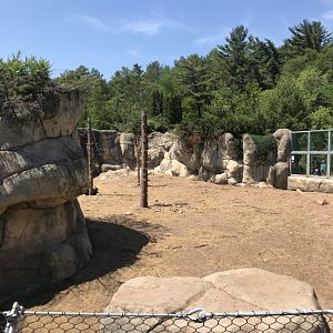 Bear Country- New Alaskan brown bear exhibit (formerly polar shores)