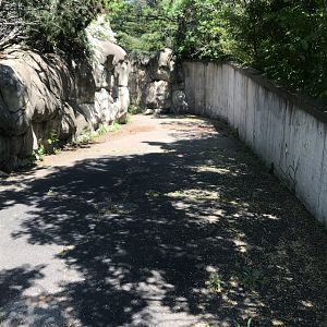 Bear Country- below-ground tunnel