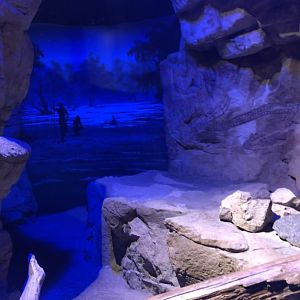 Australia & Oceania- empty space