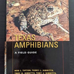 Texas Amphibians
