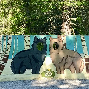 Good Times Are Here Again?