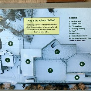 Polar Bear Complex layout