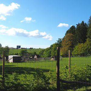 Farm area seen from the parking lot, 2021-05-29