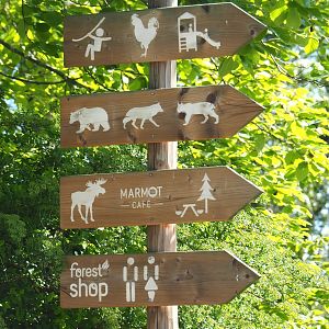 Wooden road signs, 2021-05-29