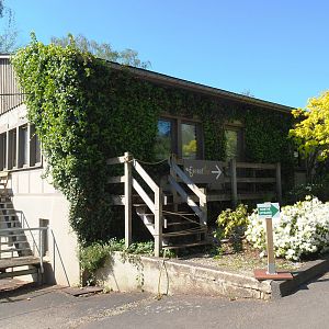 Forest'Bar restaurant and gift shop building, 2021-05-29