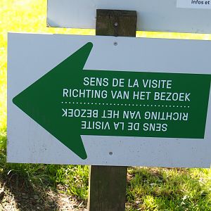 Sign mandatory trail direction, 2021-05-29