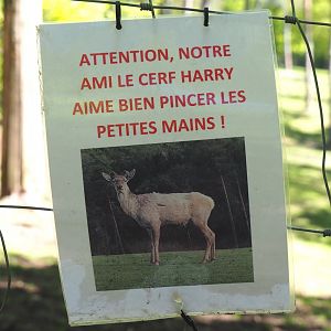 Sign Beware, some deer like to nip little hands, 2021-05-29