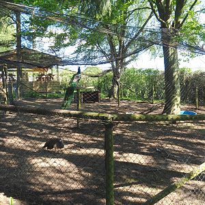 Blue peafowl aviary, 2021-05-29