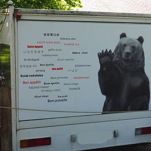 Have a nice meal sign with bear on the sign of the food truck, 2021-05-29