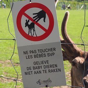 Sign Please do not touch baby animals, 2021-05-29