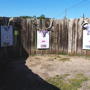 Cervidae education area, 2021-05-29