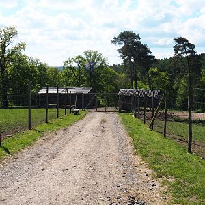 Staff and equipment access to the deer and mouflon paddock, 2021-05-29
