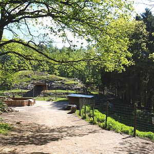 Area with Alpine species exhibits, 2021-05-29