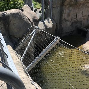 Bear Country- New Alaskan brown bear exhibit (formerly polar shores