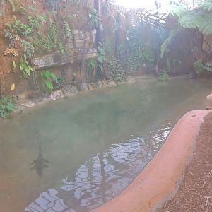 Siamese crocodile exhibit [2016]