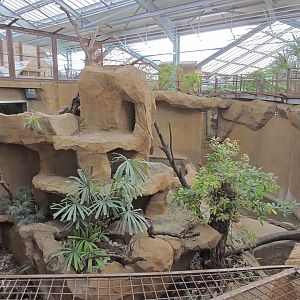 Python Island [2016]