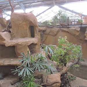 Python Island [2016]