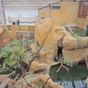 Python Island [2016]