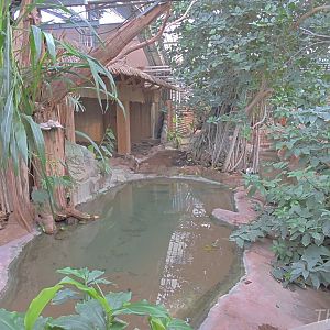 False gharial exhibit [2016]