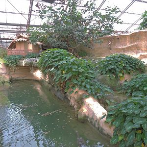 Gharial exhibit [2016]