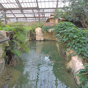 Gharial exhibit [2016]