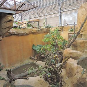 Python Island [2016]