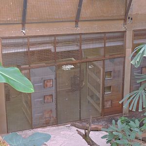 Backstage - Python Island [2016]