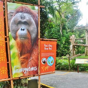 New Orangutan exhibit marker