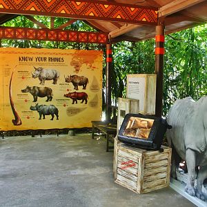 New Rhino interpretive