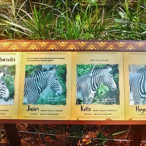 New Grevy's Zebra identification sign