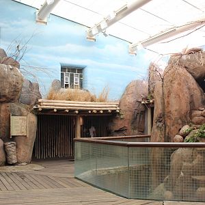 Habitat Africa: The Savannah - Kopje House