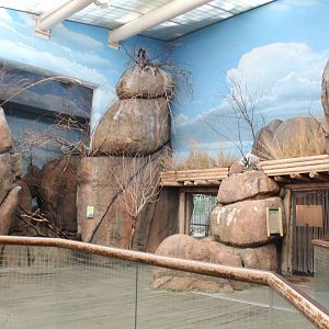 Habitat Africa: The Savannah - Kopje House