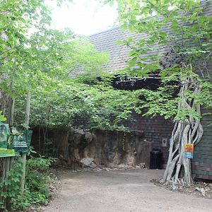 Habitat Africa: The Forest - African Forest House