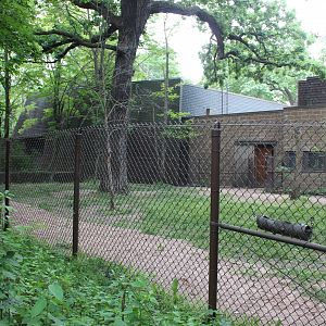 Habitat Africa: The Forest - Okapi Exhibit