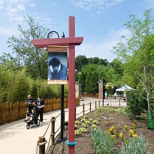 Jun. 2021 - New! Wild Asia - Exit