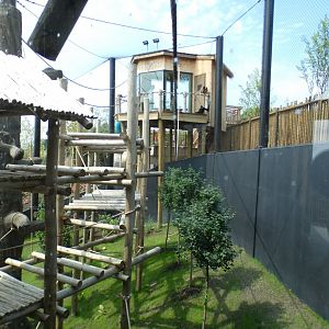 Jun. 2021 - New! Wild Asia - White-cheeked Gibbon Exhibit