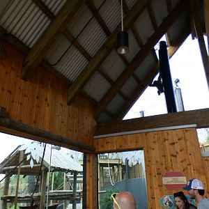 Jun. 2021 - New! Wild Asia - White-cheeked Gibbon Exhibit - Elevated Viewing
