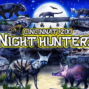 Night Hunters | Zoo Tours