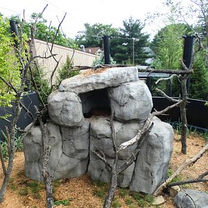 Jun. 2021 - New! Wild Asia - Red Panda Exhibit