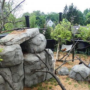 Jun. 2021 - New! Wild Asia - Red Panda Exhibit