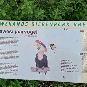 Signage example - Sulawesi knobbed hornbill