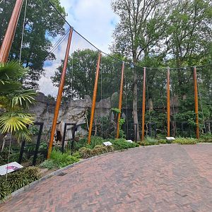 Hornbill aviaries overview