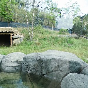 Jun. 2021 - New! Wild Asia - Second Sumatran Tiger Exhibit