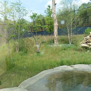 Jun. 2021 - New! Wild Asia - Second Sumatran Tiger Exhibit