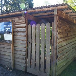 Alpine chamois shelter, 2021-05-29