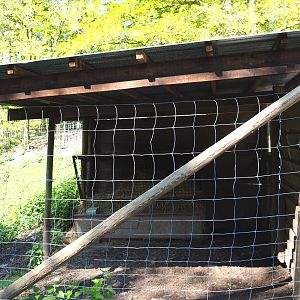 Alpine chamois shelter, 2021-05-29